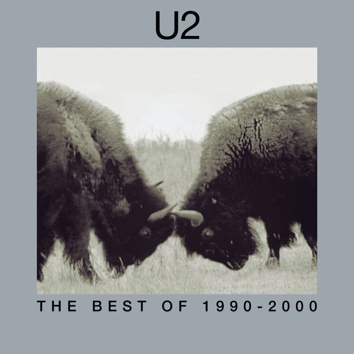 U2 - The Best Of 1990-2000 (180 Gram Vinyl) 2LP - Vinyl LP - RSD 2025