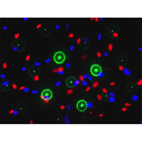 Technical Pro LGMEGAx Professional DJ Multi Pattern Laser & LED Stage Effect Light with DMX (No Box)