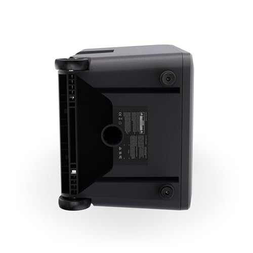 LD Systems ANNY 10 BPH2 Battery-Powered Bluetooth 10" PA Speaker with 2 Headset Microphones (B47: 470 to 490 MHz)