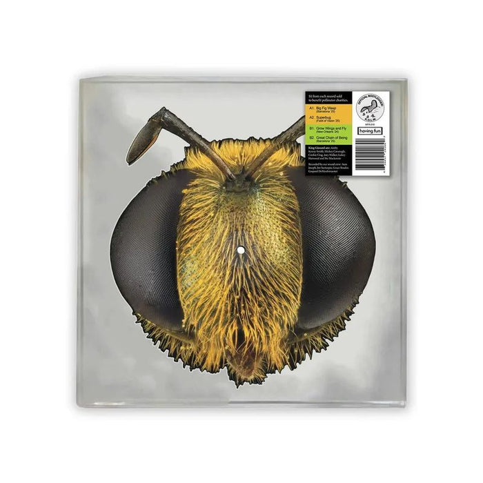 King Gizzard & The Lizard Wizard - Big Fig Wasp (RSD) - Vinyl Lp - RSD 2026