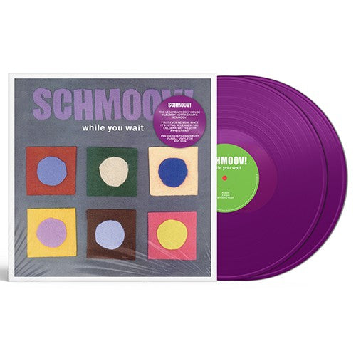 Schmoov! - While You Wait - 12"" VINYL(2) - RSD 2026