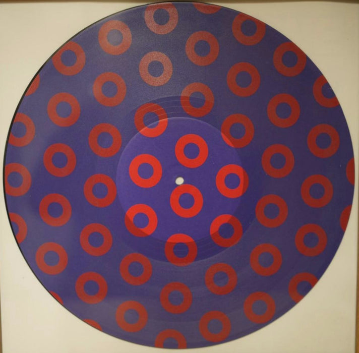 Phish Donut 01 12" Vinyl Wall Art With Frame