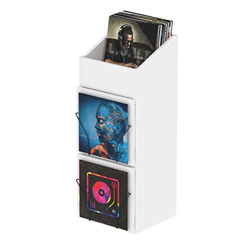 Glorious Record Box Display Door in White