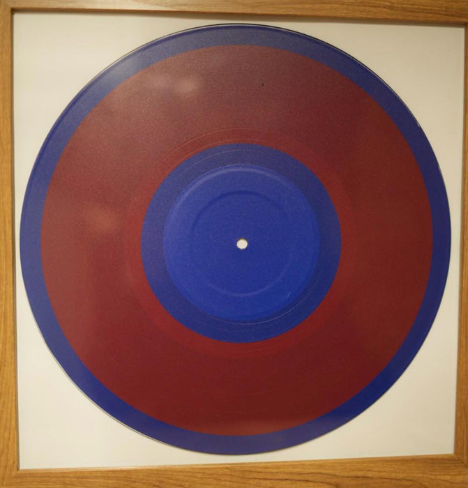 Phish Donut 01 12" Vinyl Wall Art With Frame