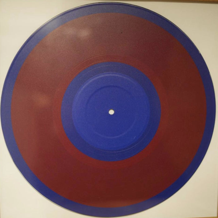 Phish Donut 01 12" Vinyl Wall Art Without Frame