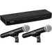 Shure BLX288/PG58 Dual Channel Handheld Wireless System - Rock and Soul DJ Equipment and Records