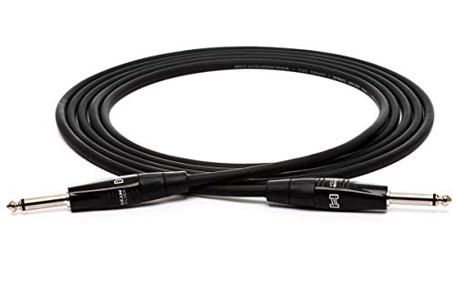 Hosa HGTR-010 REAN Straight to Straight Pro Guitar Cable, 10 Feet