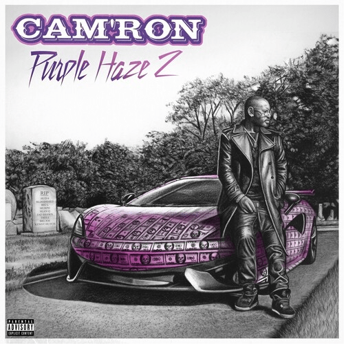 Cam'ron - Purple Haze 2 [LP] - Rock and Soul DJ Equipment and Records