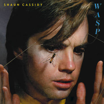 Cassidy, Shaun - WASP - Vinyl LP - Rock and Soul DJ Equipment and Records