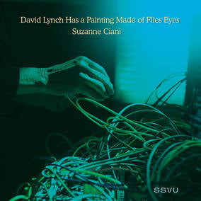 SSVU (Silversun Pickups) - David Lynch Has a Painting Made of Flies Eyes / Suzanne Ciani - 7" Vinyl