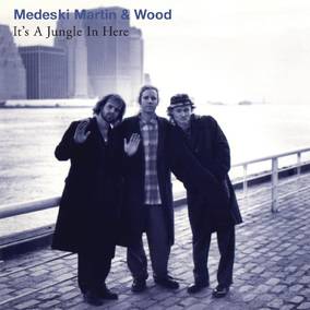Medeski, Martin & Wood - It's a Jungle in Here - Vinyl LP - RSD2023