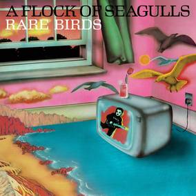 A Flock Of Seagulls - Rare Birds - Vinyl LP - RSD2023