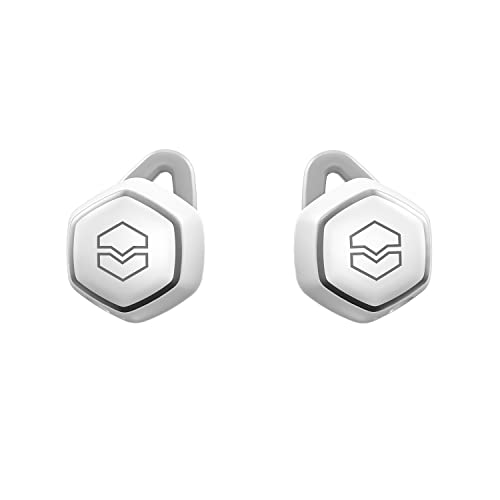 Heralds of the Gospel
