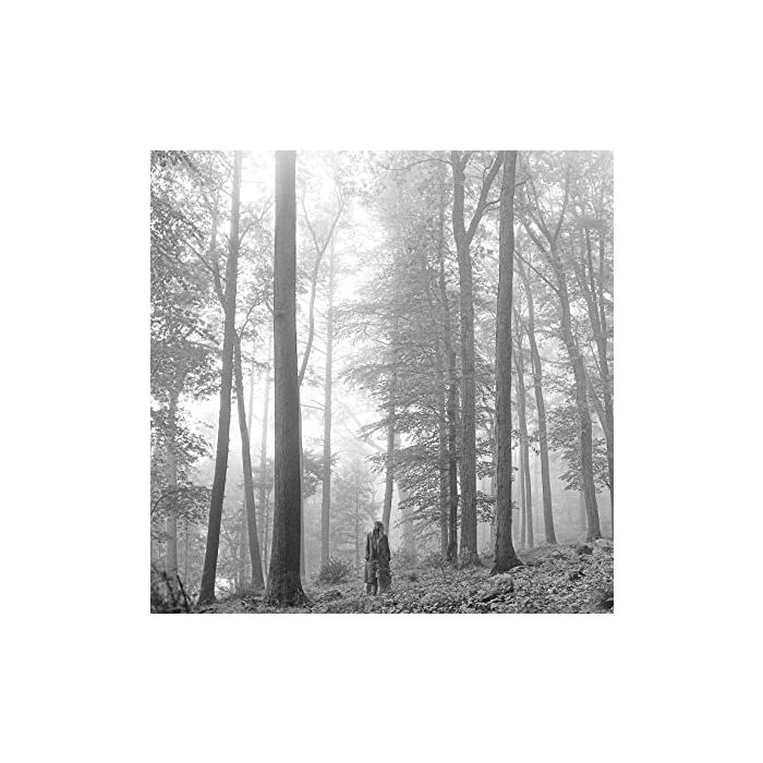 Taylor Swift folklore レコード　1ディスクのみ Taylor Swift folklore レコード1ディスクのみ