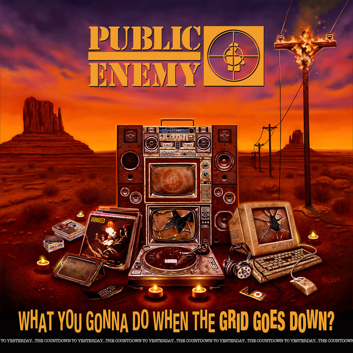 Public Enemy What You Gonna Do When The Grid Goes Down? [LP]