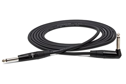 Hosa HGTR-010R REAN Straight to Right Angle Pro Guitar Cable, 10 Feet